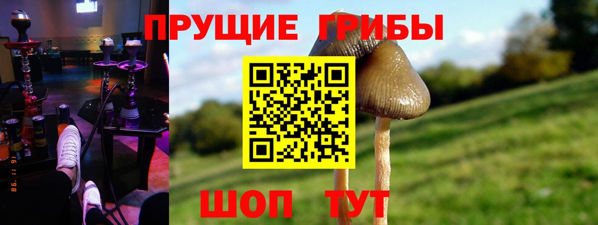 Галлюциногенные грибы мухоморы  Вход с VPN  Иваново  Галлюциногенные грибы мицелий 